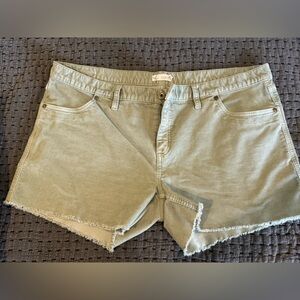 Carve Designs Oahu Shorts olive green color Size 16